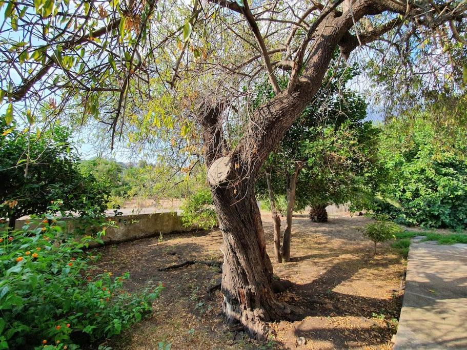 Stromboli Vacanze Bagian luar foto
