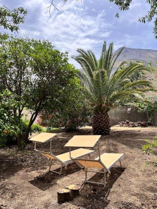 Stromboli Vacanze Bagian luar foto