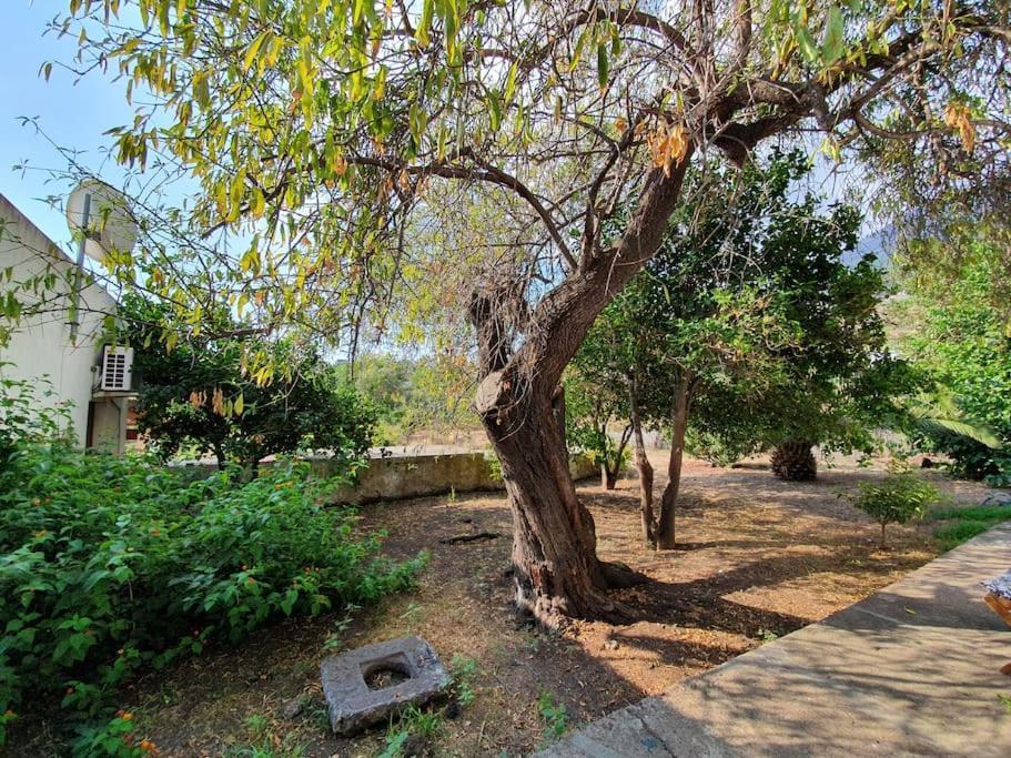 Stromboli Vacanze Bagian luar foto