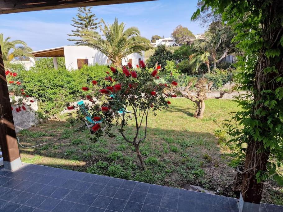 Stromboli Vacanze Bagian luar foto